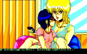 Page 112 of Bishoujo Shashinkan - preview thumbnail
