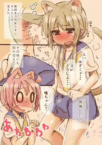 Page 3 of Nekomimi to Hatsujou to Suteki na Nanika - preview thumbnail
