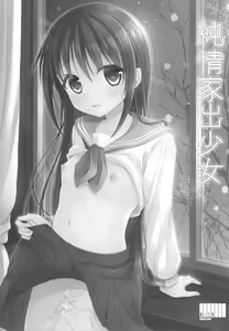 Page 3 of Junjou Iede Shoujo - preview thumbnail