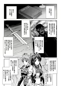 Page 29 of Eiyuu Oujo - Shiro to Kuro no Kyouen - preview thumbnail