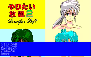 Page 3 of Yaritai Houdai 2 - Tourist o Nerae!! - preview thumbnail