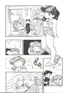 Page 11 of Evan 26.5 II - preview thumbnail