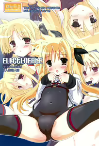 ElectLoFate — hentai manga cover on Fhentai