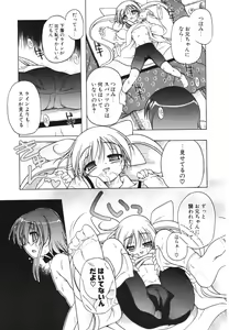Page 41 of COMIC Potpourri Club 2006-04 - preview thumbnail