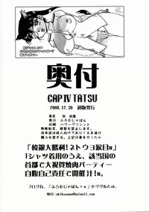 Page 33 of CAP IV TATSU - preview thumbnail