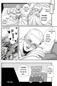 Page 19 of DOMINA - preview thumbnail