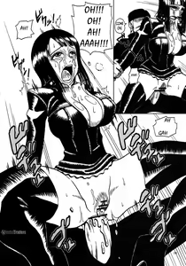 Page 16 of Robin SP - preview thumbnail