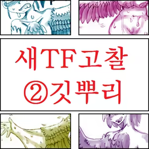 Page 6 of Tori TF ni Kansuru Kousatsu to Renshuu | Study and practice about bird TF - preview thumbnail