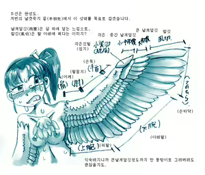 Page 7 of Tori TF ni Kansuru Kousatsu to Renshuu | Study and practice about bird TF - preview thumbnail