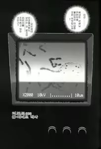 Page 20 of Dulce Report 1 - preview thumbnail