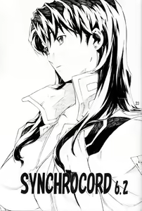 Page 22 of SYNCHROCORD 6 - preview thumbnail