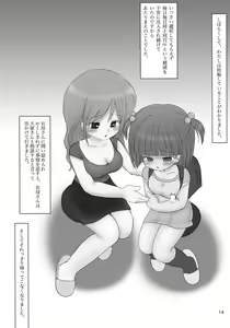 Page 13 of Kinen Busshou Han Shuusoku Jirei - preview thumbnail