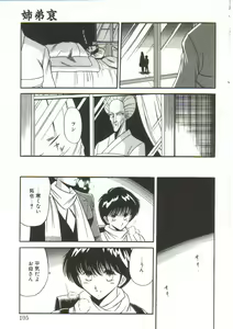 Page 217 of Aigan Ryoubyouk Sho - preview thumbnail
