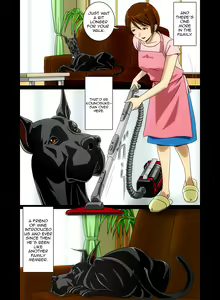 Page 11 of "Wonderful Life" ~Shufu to "Aiken" no Hisoyaka na Gogo~ - preview thumbnail