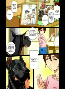 Page 42 of "Wonderful Life" ~Shufu to "Aiken" no Hisoyaka na Gogo~ - preview thumbnail