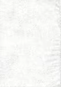 Page 3 of EXUP 9 - preview thumbnail