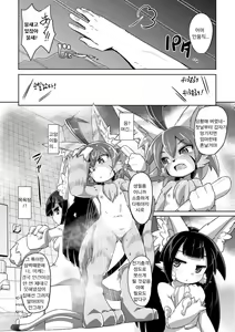 Page 12 of Tadashii Neko no Kawa Rekata - preview thumbnail