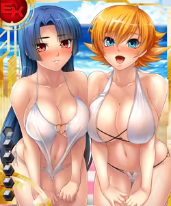 Page 485 of Taimanin Asagi Battle Arena  Character Cards - preview thumbnail