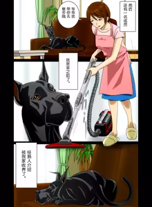 Page 11 of "Wonderful Life" ~Shufu to "Aiken" no Hisoyaka na Gogo~ - preview thumbnail