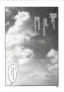 Page 112 of T-ZONE - preview thumbnail