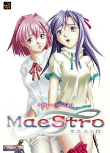 Page 3 of MaeStro - preview thumbnail