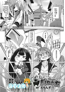 Tadashii Neko no Kawa Rekata — hentai manga cover on Fhentai
