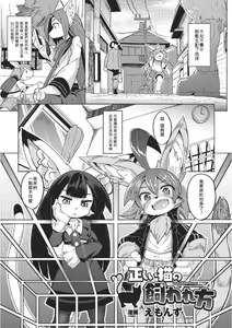 Page 2 of Tadashii Neko no Kawa Rekata - preview thumbnail