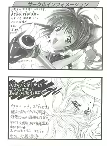 Page 161 of Girl's Parade 98 Take 1 - preview thumbnail