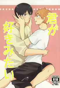 Kimi ga Suki Mitai - hentai manga cover image