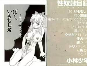 Page 5 of Seidorei Mokuroku - Flesh Slave Catalog - preview thumbnail