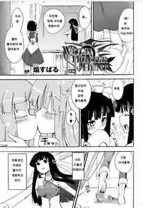 WITCH HUNTER HUNT — hentai manga cover on Fhentai