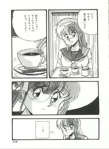 Page 117 of Bishoujo Doujinshi Anthology 19 - preview thumbnail