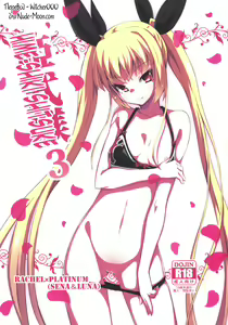 Hime-shiki Shitsuke 3 - hentai manga cover image