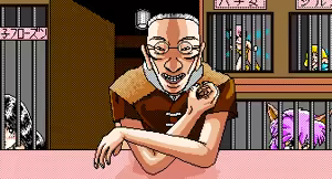 Page 220 of Toushin Toshi 1 (PC98 Ver 1.06) & Hint Disk - preview thumbnail